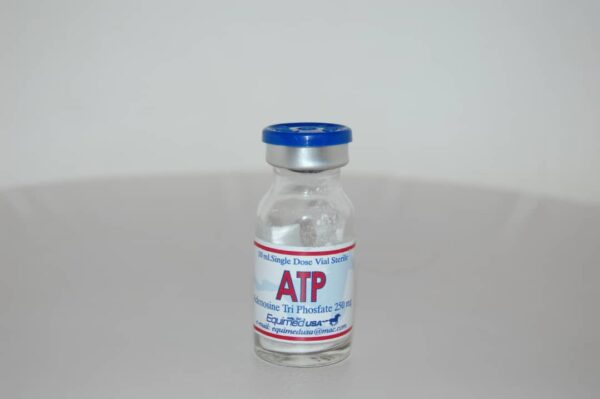 ATP 10ml injection (Adenosine Tri-Phosphate), #ATP INJECTIONworldwide, ATP INJECTION , Amino Acid, Vitamin & Mineral Supplements