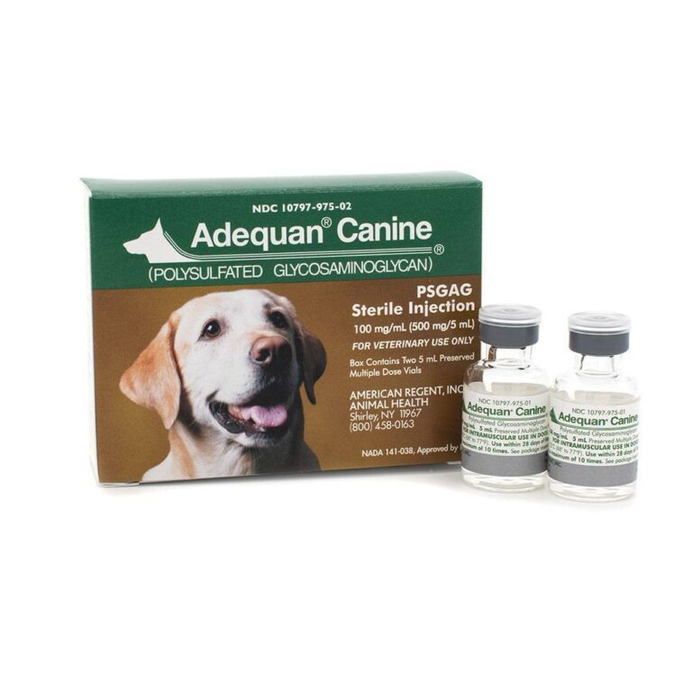 Adequan Canine 5ml Bdneny Equine Therapy