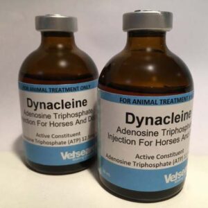Dynacleine Injection, Dynacleine 50ml, Endurance (قدرة التحمل) , ATP, endurance, stamina, Vetsearch