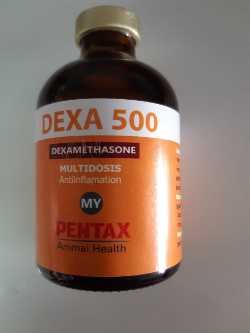 Dexamethasone, Dexa 500,0.1, 500, analgesic, anti, antiinflammatory, camels, dexa, dexamethasone, horse, inflammatory,