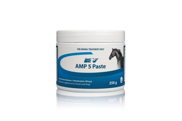 AMP 5 Paste, Amp-5, AMP-5 Paste, What is AMP-5 Paste Used For?, What is AMP-5 Pastefor horses, AMP-5 for animals use, Amp 5 paste side effects, Amp 5 paste how to use, Amp 5 paste ingredients, Amp 5 paste for horses, AMP-5 Injection, AMP 5 injection for greyhound, Tripart paste, Ceva products for animals,