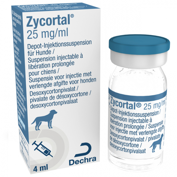 Zycortal 4ml, Zycortal for dogs, Zycortall, Zycortal 4ml side effects, Zycortal 4ml price, Zycortal 4ml cost, zycortal shortage uk, zycortal best price uk, zycortal noah, zycortal data sheet, zycortal monitoring, Zycortal veterinary solution,