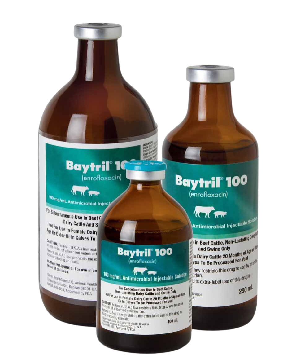 Baytril Taste Tabs is a fluroquinolone antibiotic indicated for the management of disease in dogs associated with bacteria susceptible to enrofloxacin.