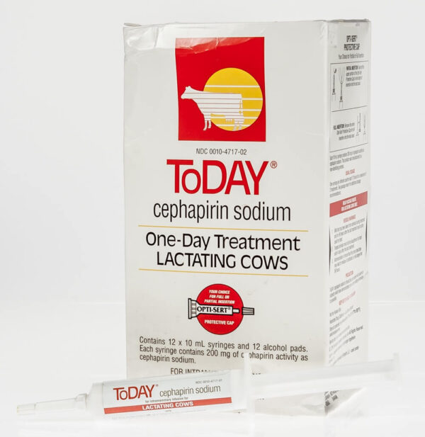 Today (Cephapirin Sodium), cephapirin sodium for cattles,ToDAY | Antibiotic Mastitis Treatment from Boehringer , ToDAY (cephapirin sodium) for Animal Use, Today (Cephaperin Sodium) One-Day Treatment Lactating, ToDAY (Cephapirin Sodium) Mastitis Treatment, ToDAY Cattle Mastitis Cephapirin Sodium Treatment, Today cephapirin sodium dosage, today mastitis treatment for goats, Today cephapirin sodium for dogs, today cephapirin sodium for goats, cephapirin sodium for humans, cephapirin sodium for cats, what is the difference between today and tomorrow mastitis treatment, cephapirin sodium for horses,