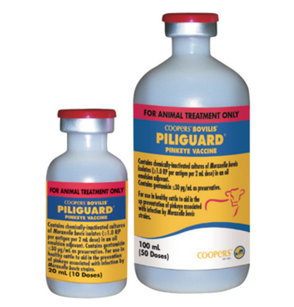 Coopers Piliguard Pinkeye Vaccine, Piliguard 100ML, coopers piliguard pinkeye-1 trivalent vaccine, Buy Coopers Piliguard, Coopers Piliguard Pinkeye vaccine 100ml, Buy Coopers Piliguard Online Livestock Vaccines, Coopers piliguard pinkeye vaccine 100ml side effects, Coopers piliguard pinkeye vaccine 100ml price, Coopers piliguard pinkeye vaccine 100ml review, Coopers piliguard pinkeye vaccine 100ml dosage, Coopers piliguard pinkeye vaccine 100ml cost, Coopers piliguard pinkeye vaccine 100ml for sale, piliguard pink eye, pink eye vaccine for cows, Piliguard Pinkeye-1 vaccine,