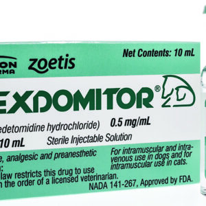 dexdomitor 10ml, dexdomitor injection, dexdomitor, Dexdomitor 0.5 mg/ml Solution for Injection 10ml, dexdomitor for dogs, Dexdomitor (Dexmedetomidine Hydrochloride) , DEXDOMITOR 0.5 mg/mL Preanesthesia in dogs, Dexdomitor (DEXMEDETOMIDINE) precedex analog, dexdomitor vs dexmedetomidine,dexdomitor for dogs, dexdomitor for dogs side effects, dexdomitor package insert, dexdomitor butorphanol dosing chart, antisedan for dogs, dexdomitor seizures, dexmedetomidine cat dosing chart, Dexdomitor Injectable Solution,