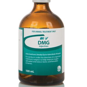 DMG 100ml, Dimethyl glycine HCL, DMG injection, Dimethylglycine hydrochloride 100mg/mL, Dimethyl glycine injection, DMG veterinary injection, DMg 100ml injection, DMG for horses,