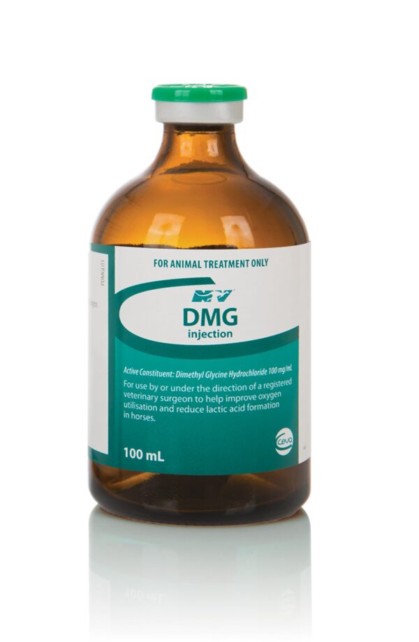 DMG 100ml, Dimethyl glycine HCL, DMG injection, Dimethylglycine hydrochloride 100mg/mL, Dimethyl glycine injection, DMG veterinary injection, DMg 100ml injection, DMG for horses,