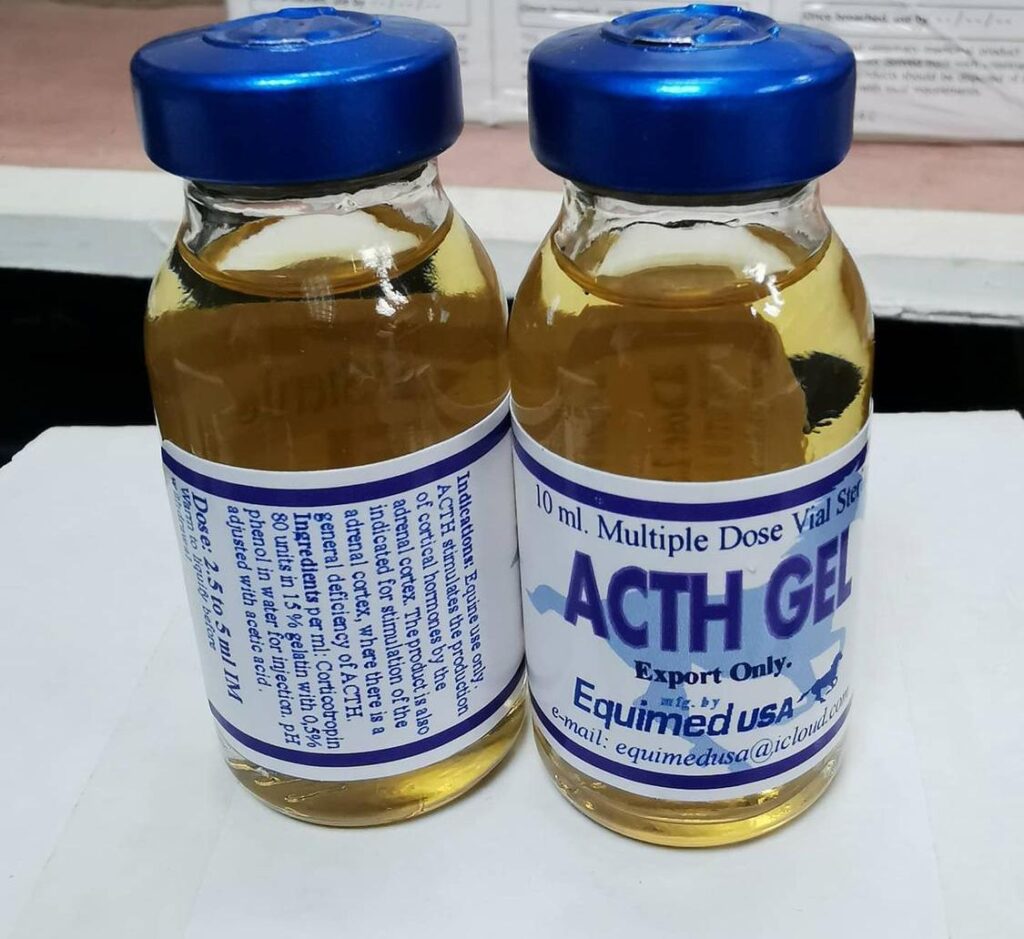 acth-gel, acth gel injection for horses, Where to buy acth gel for horses Acth gel for horses price Acth gel for horses cost Adrenal cortex for horses Arnica injection for horses Anabol for horses ACTH for horses ACTH Injection buy online