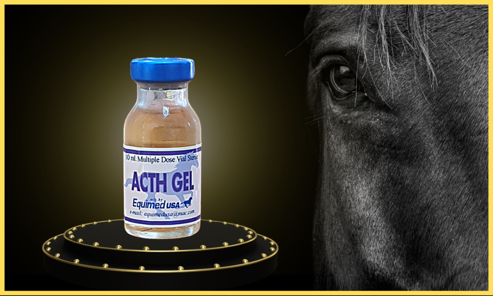 acth gel injection for horses, Where to buy acth gel for horses Acth gel for horses price Acth gel for horses cost Adrenal cortex for horses Arnica injection for horses Anabol for horses ACTH for horses ACTH Injection buy online