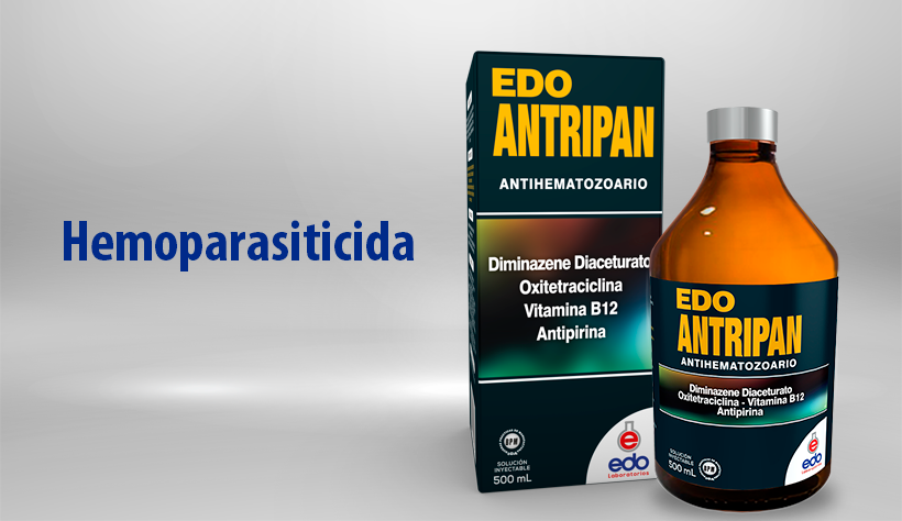 Edo Antripan Against Hemoparasites, Edo Antripan, Edo antripan price, Edo laboratorios, Edo ATP, HEMOPAR B12, Edo Antripan United states, Edo antripan against hemoparasites reviews, Edo antripan against hemoparasites dosage,