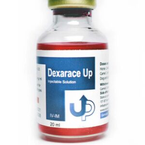 Dexarace Up 20ml, Dexarace Up Injection, Dexarace Up 20ml injection, Buy Dexarace Up 20ml Online, Dexarace Up 20ml for sale, Dexarace Up for horses, Dexarace Up 20ml for camels,