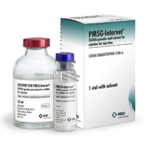 PMSG Intervet, PMSG, PMSG Injection, Pmsg intervet 5000 iu , Pmsg intervet for animal use, PMSG hormone, PMSG sheep dose, PMSG for Sheep, Pmsg intervet for sale, Folligon PMSG , PMSG intervet for cows, PMSg Powder + solvent 5000IU, MSD PMSG Powder + Solvent 5000IU,