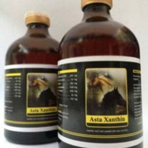 Asta Xanthin 100ml, antiinflammatory, Asta, ATP, endurance, energy, methylprednisolone, pain, reliever, Xanthin, Buy Asta Xanthin 100ml online, Asta Xanthin injection for sale, Asta Xanthin 100ml for animal use,