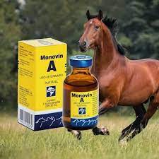 Monovin A 20ml, Monovin A, Remedio monovin a for animals, Monovin a for animal reviews, Monovin A para que serve, Monovin K, Monovin A bula, Monovin B12, Monovin A PARA CABELO como USAR, Monovin A antes e depois,