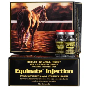 Equinate 2ml, Equinate injection, Banegarett for horses, Equinate for horses, Buy Equinate injection,