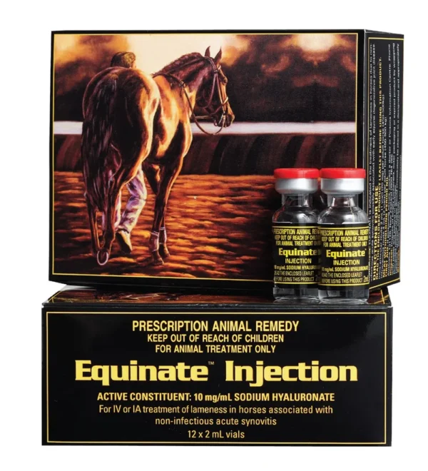 Equinate 2ml, Equinate injection, Banegarett for horses, Equinate for horses, Buy Equinate injection,