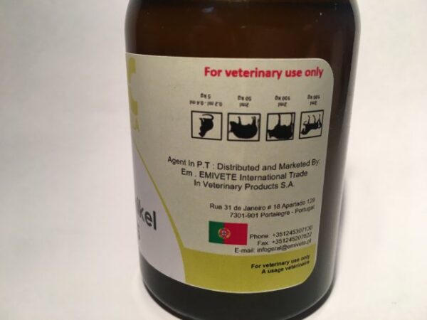 analgesic, anti-inflammatory, corticosteroid, horse, kela, killer, pain, pain reliever, power, prednikel, prednisolone, speed, prednikel 2.5, prednikel 100ml,