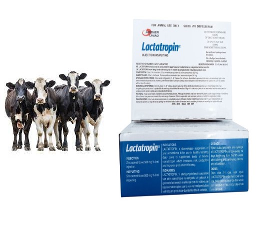 Lactatropin For Cattle, Lactatropin, Lactatropin injection, Recombinant Bovine Somatotropin,