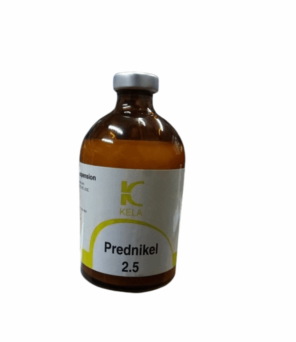 analgesic, anti-inflammatory, corticosteroid, horse, kela, killer, pain, pain reliever, power, prednikel, prednisolone, speed, prednikel 2.5, prednikel 100ml,