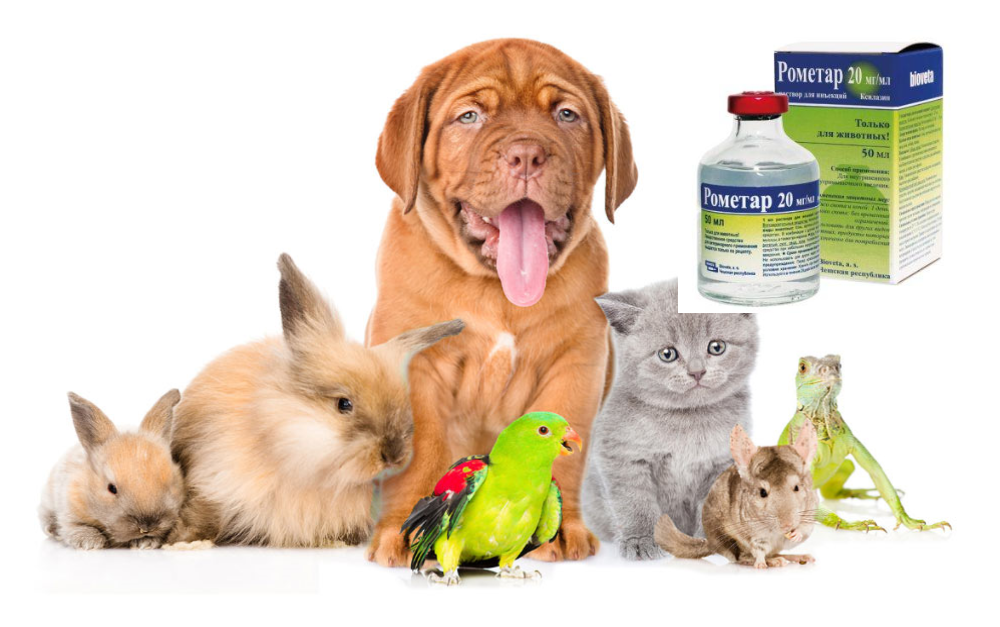 Rometar 2% 50ml for Animal Use, Rometar 2% 50ml, Rometar,