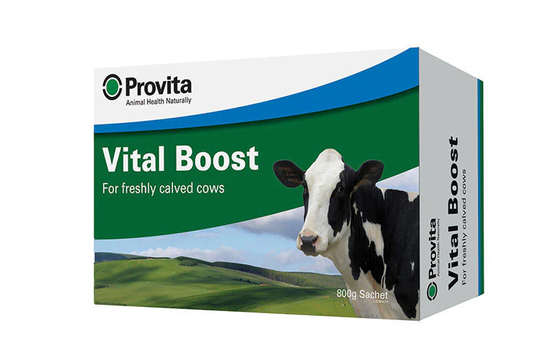 PROVITA VITAL BOOST for Cattle