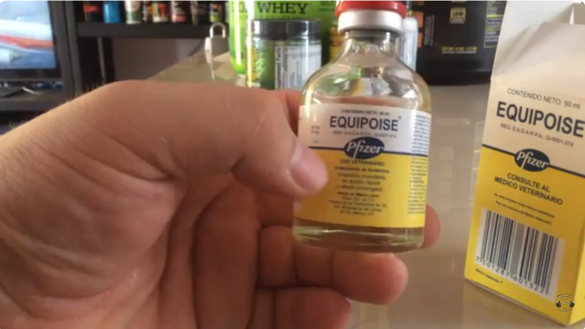 Equipoise Solution for Animal Use, boldenone undecylenate, testosterone cycle,