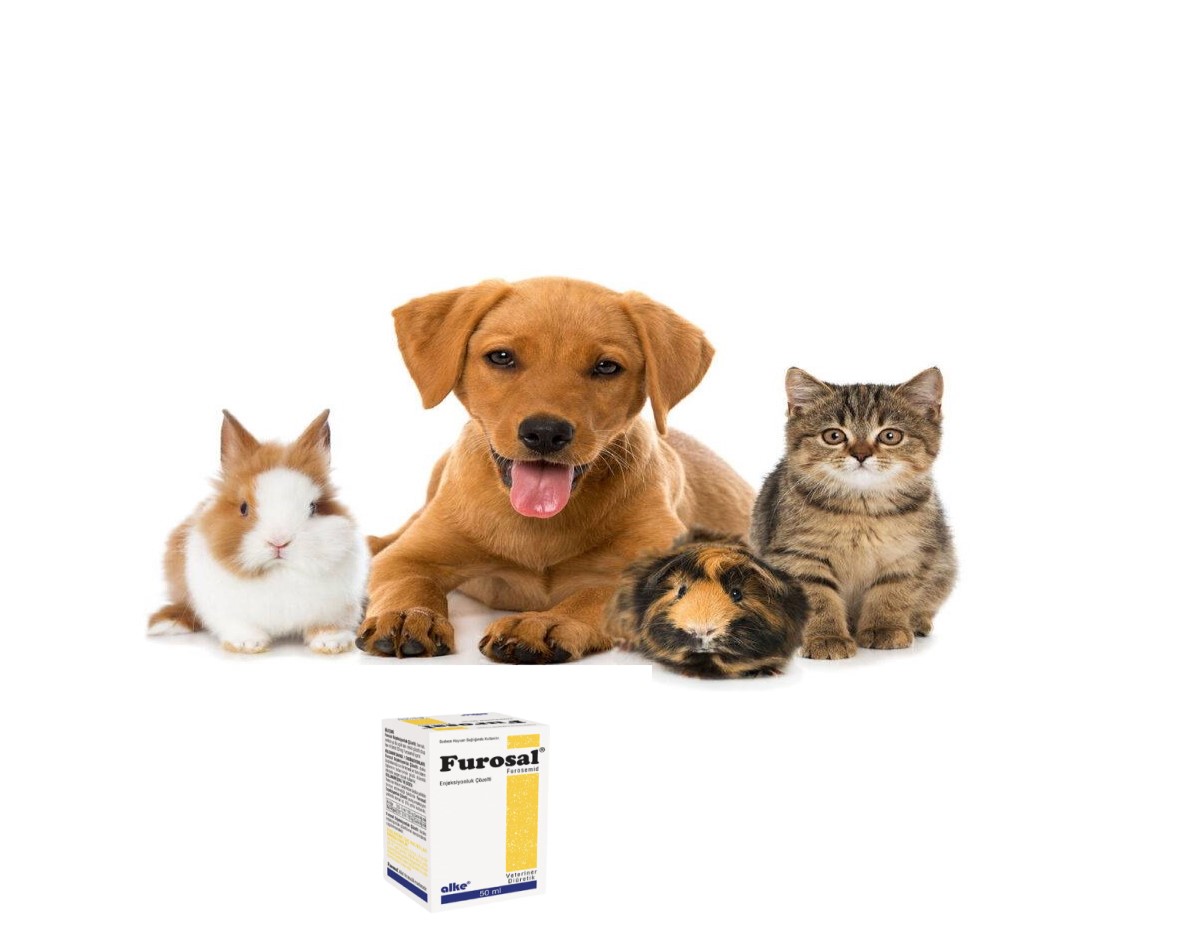 Furosal for animal use, veterinary diuretics, animal edema management, Furosemide in animals, veterinary medicine, animal health, livestock treatment, pet health, diuretics for pets, Furosal,