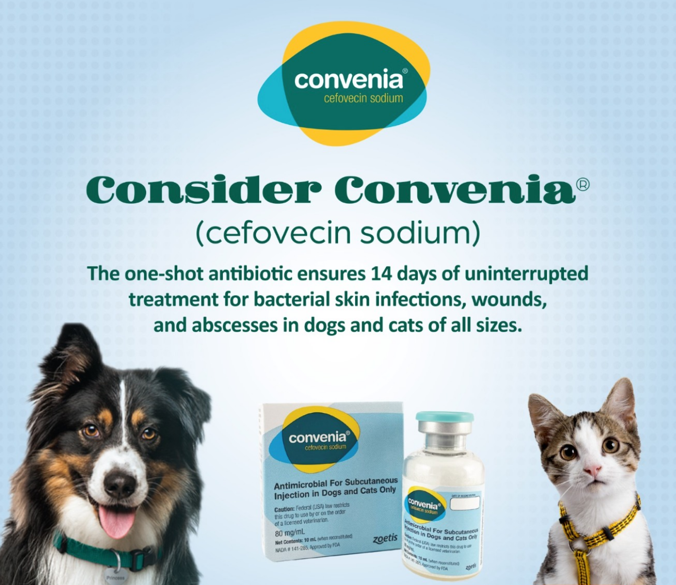 Convenia for cats, Convenia injection, convenia,